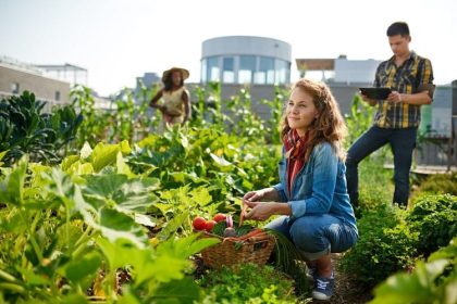 Beginner’s Guide to Vertical Gardening for Urban Dwellers