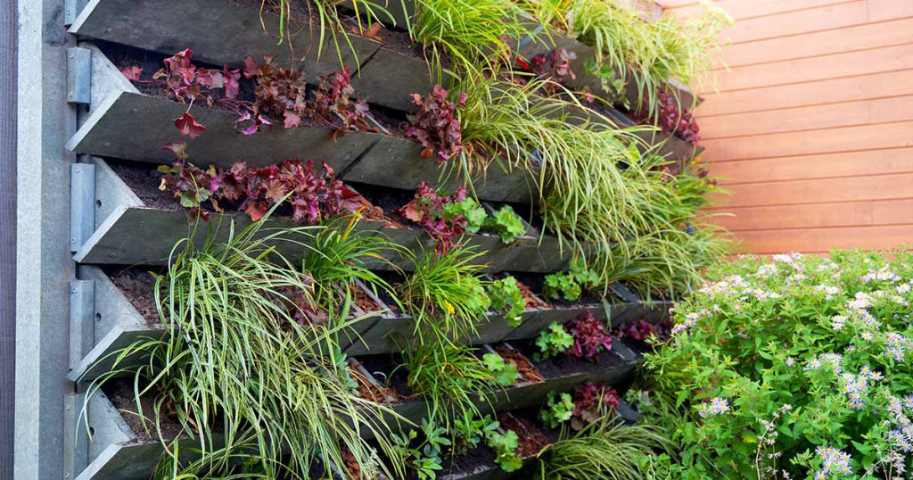 Beginner’s Guide to Vertical Gardening for Urban Dwellers